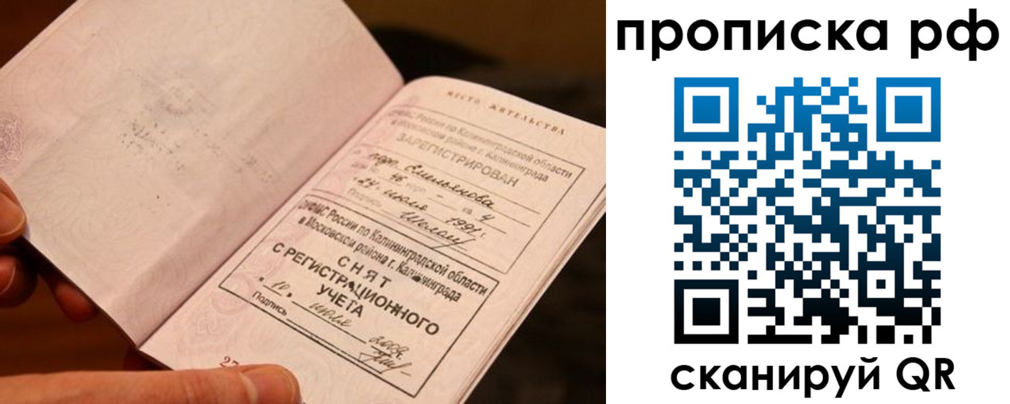 прописка гарантия в Камчатском крае